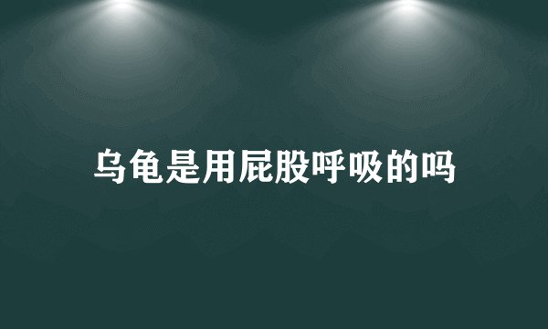 乌龟是用屁股呼吸的吗