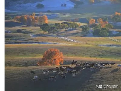 内蒙古有什么好玩的地方内蒙古旅游攻略?