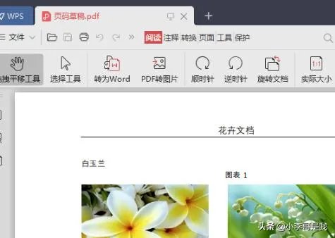 WORD2010如何转换成PDF格式?
