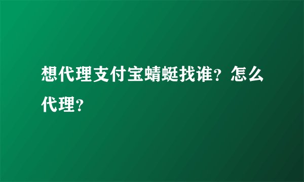 想代理支付宝蜻蜓找谁？怎么代理？