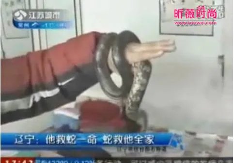 男子救蛇一命 蛇竟救活他全家:灵蛇报恩故事(全文)