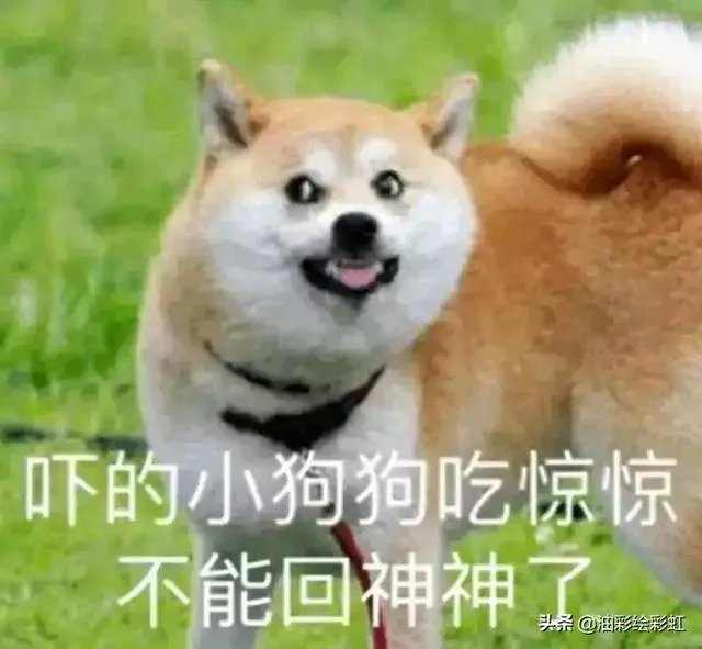发书法教学视频作者，兴趣选哪个领域好？有何技巧呢？