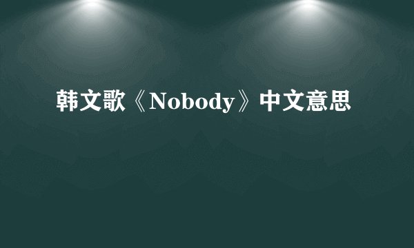 韩文歌《Nobody》中文意思