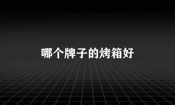 哪个牌子的烤箱好