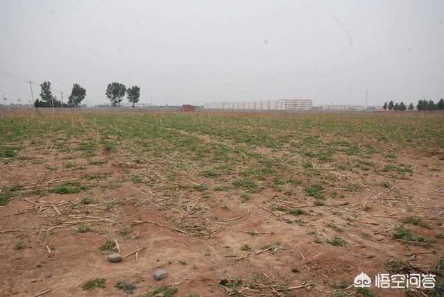在自己家的耕地上建了一个养殖场,现在说属于违建要拆,该怎么办啊?