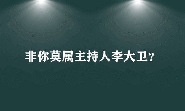 非你莫属主持人李大卫?