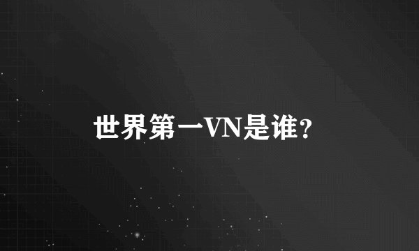 世界第一VN是谁？