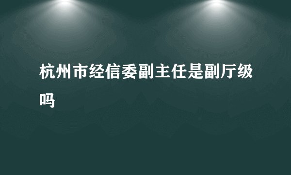 杭州市经信委副主任是副厅级吗