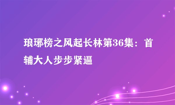 琅琊榜之风起长林第36集：首辅大人步步紧逼