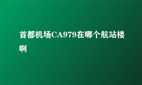 首都机场CA979在哪个航站楼啊