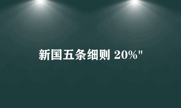 新国五条细则 20%