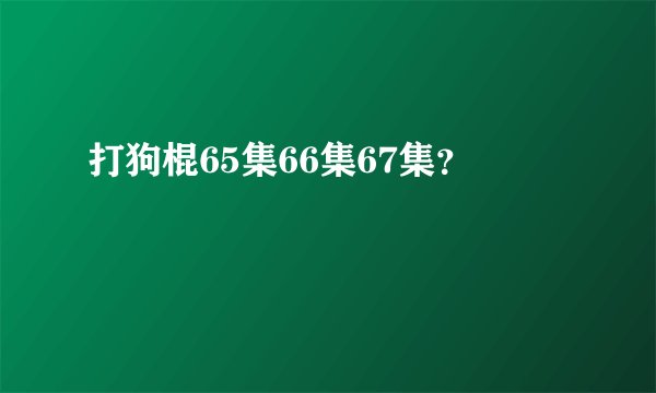 打狗棍65集66集67集？