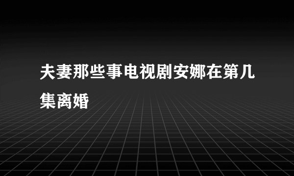 夫妻那些事电视剧安娜在第几集离婚