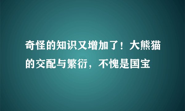 奇怪的知识又增加了！大熊猫的交配与繁衍，不愧是国宝