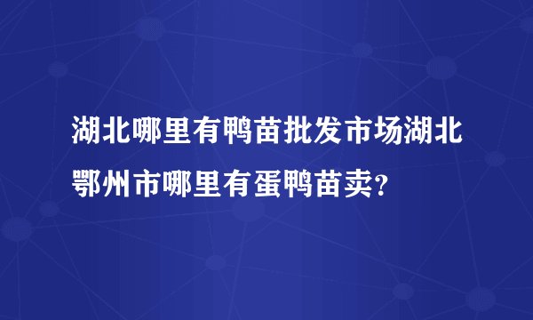 湖北哪里有鸭苗批发市场湖北鄂州市哪里有蛋鸭苗卖？