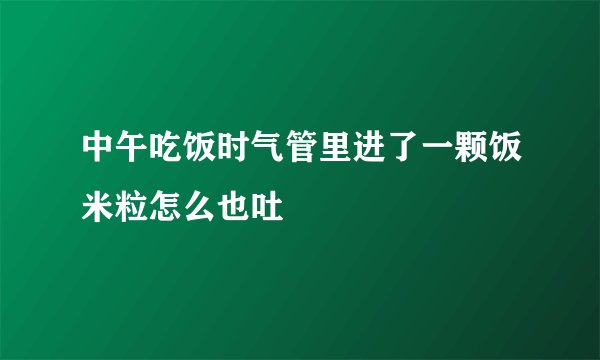 中午吃饭时气管里进了一颗饭米粒怎么也吐