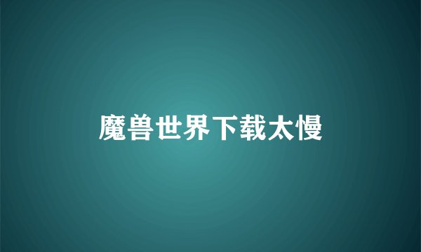 魔兽世界下载太慢
