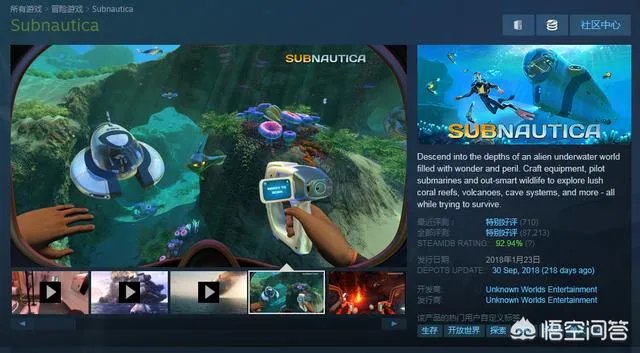 steam恶灵附身和深海迷航哪个更值得入手？