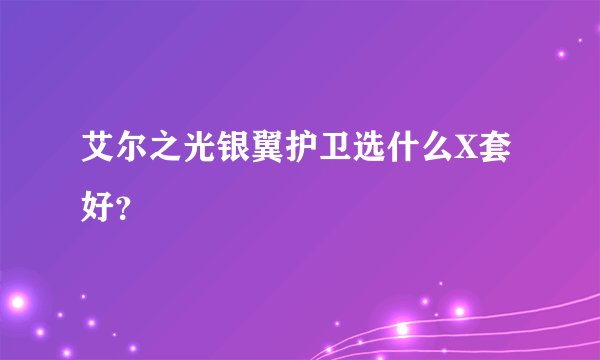艾尔之光银翼护卫选什么X套好？