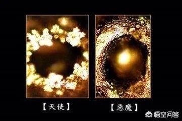 水知道答案是不是伪科学
