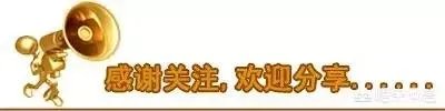 郑秀文因为许志安黄心颖受到了哪些伤害和牵连？