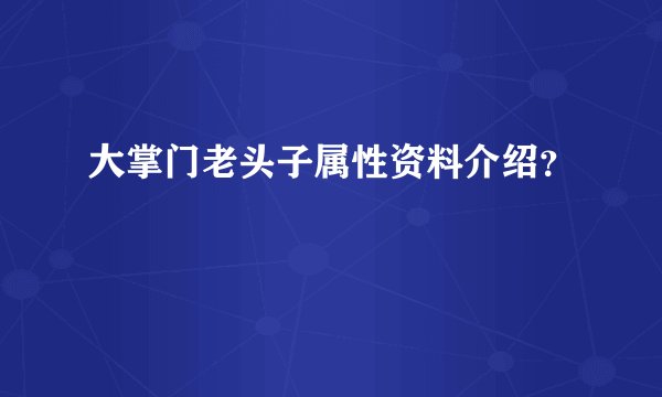 大掌门老头子属性资料介绍？