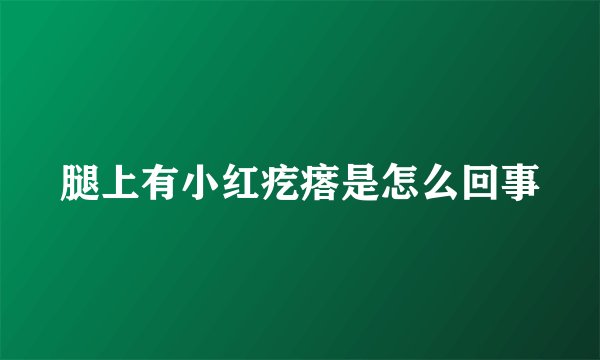 腿上有小红疙瘩是怎么回事