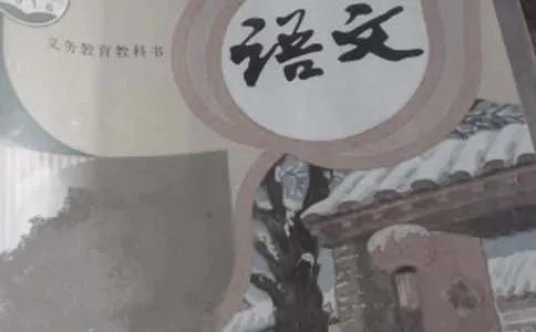 小学语文作文教学实录