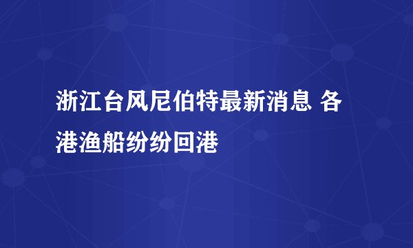 浙江台风尼伯特最新消息 各港渔船纷纷回港