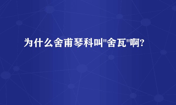 为什么舍甫琴科叫