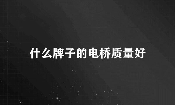 什么牌子的电桥质量好