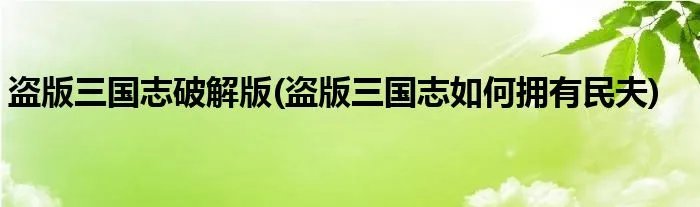 盗版三国志破解版(盗版三国志如何拥有民夫)