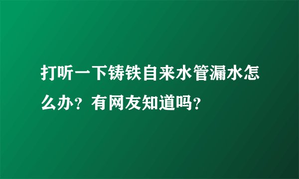 打听一下铸铁自来水管漏水怎么办？有网友知道吗？