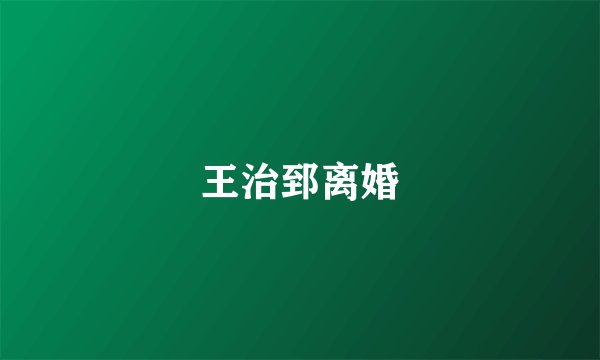 王治郅离婚