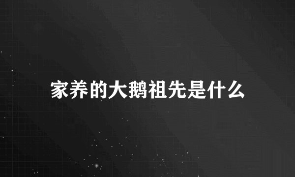 家养的大鹅祖先是什么