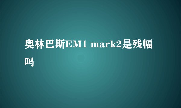 奥林巴斯EM1 mark2是残幅吗