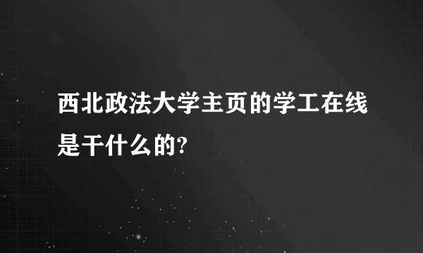 西北政法大学主页的学工在线是干什么的?