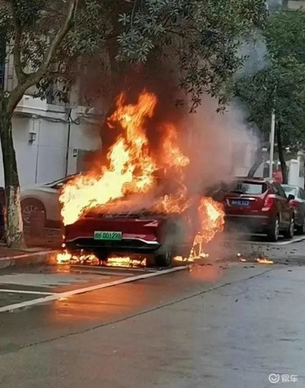 广州的一辆特斯拉撞树后自燃了，是否有造成了人员伤亡？