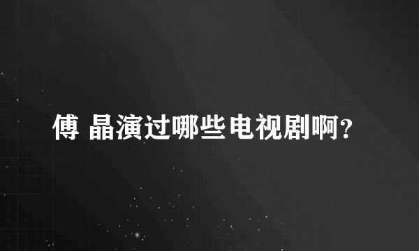 傅 晶演过哪些电视剧啊?