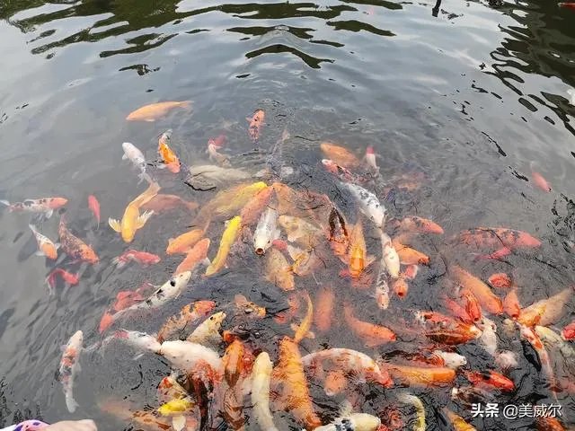 哪些吃喝玩乐只有在四川才可以体验得到？