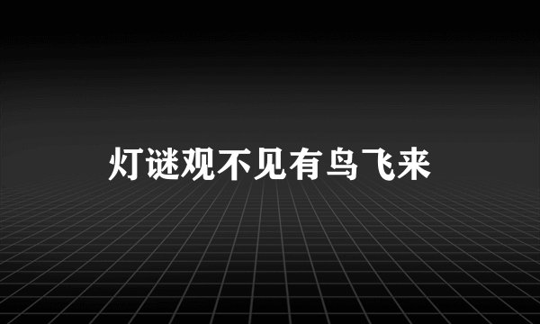 灯谜观不见有鸟飞来