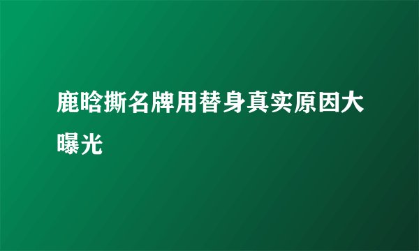 鹿晗撕名牌用替身真实原因大曝光