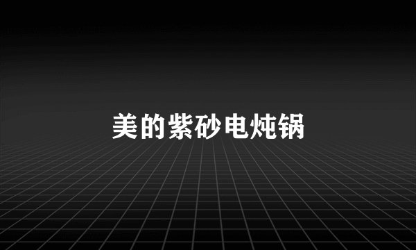 美的紫砂电炖锅