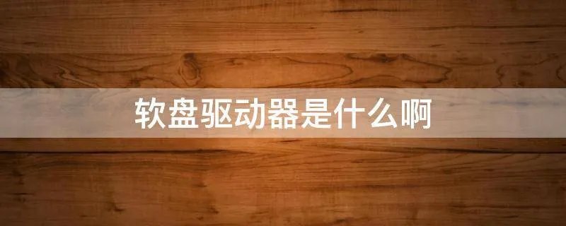 软盘驱动器是什么啊