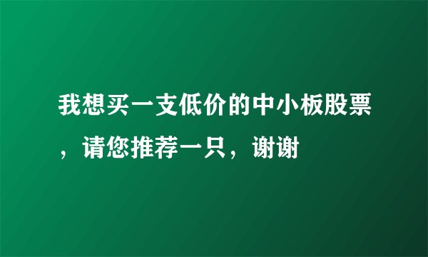 我想买一支低价的中小板股票，请您推荐一只，谢谢