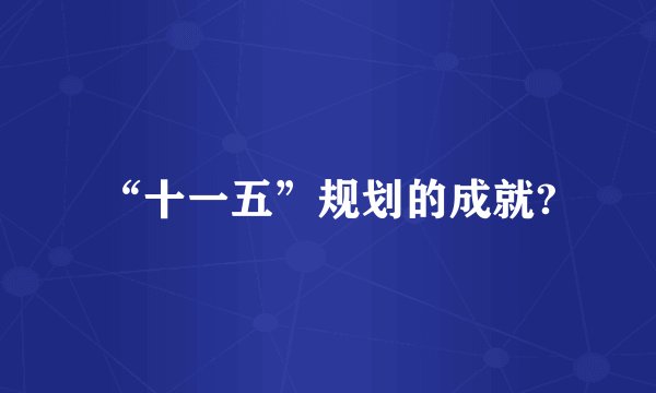 “十一五”规划的成就?