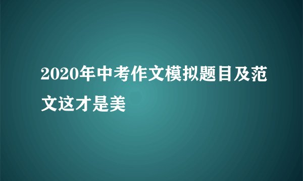 2020年中考作文模拟题目及范文这才是美