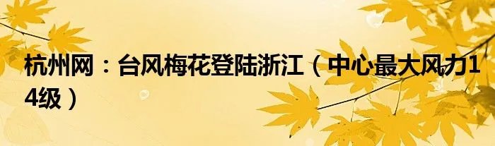 杭州网：台风梅花登陆浙江（中心最大风力14级）