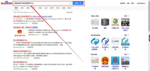 湖南省统计联网直报