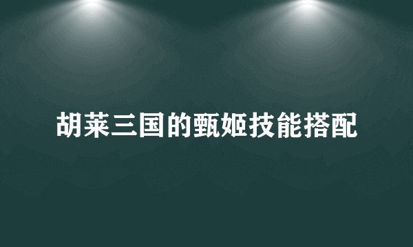胡莱三国的甄姬技能搭配